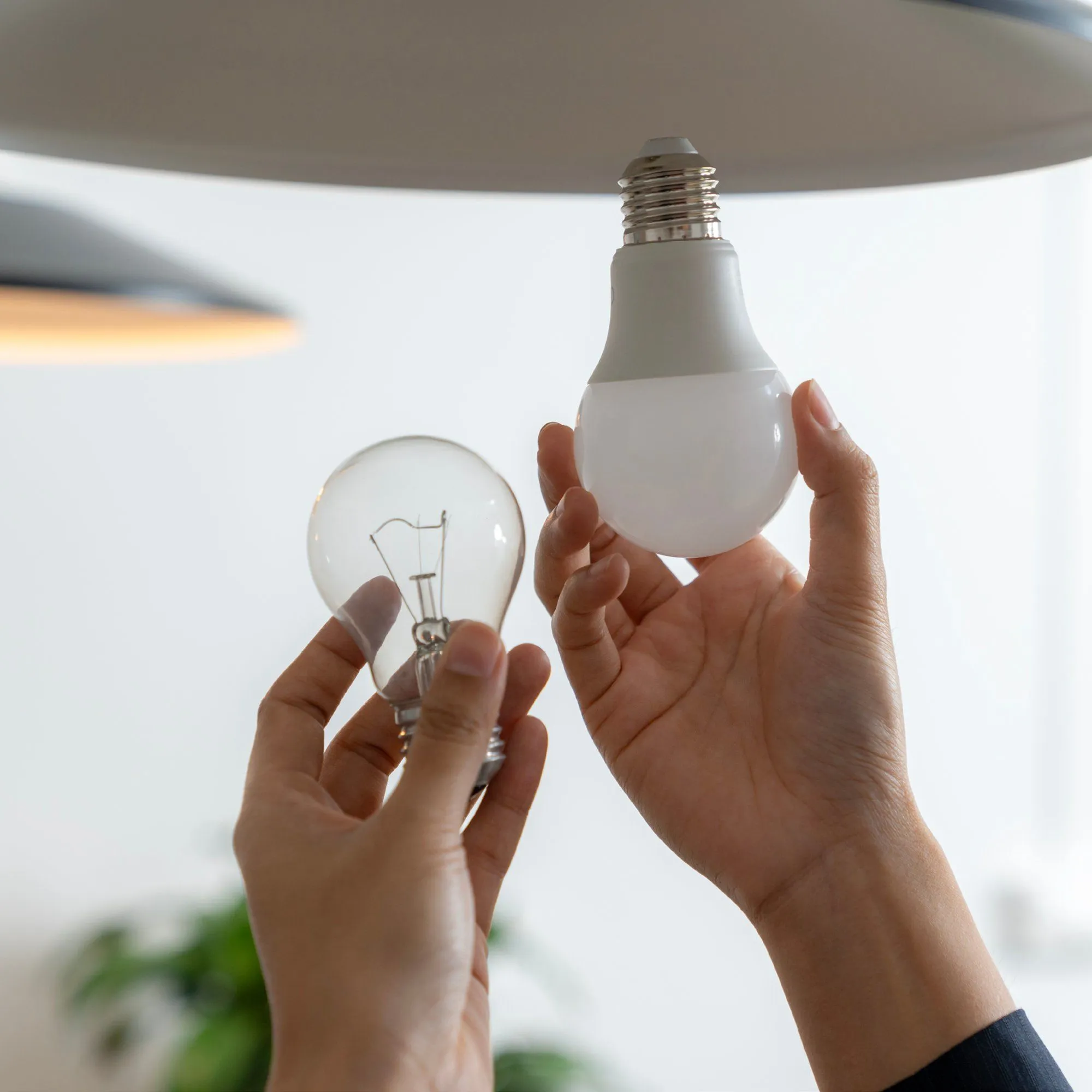 Lampadina E14